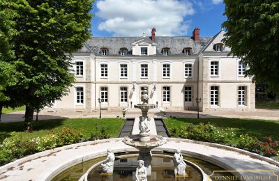 Palacio en venta Provins, Île-de-France, Imagen 1/19