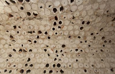 Casa urbana en venta Cassano delle Murge, Apulia, Imagen 24/24