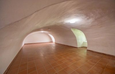 Palacio en venta 32683 Barntrup, Renania del Norte-Westfalia, Kellerraum - Ostflügel