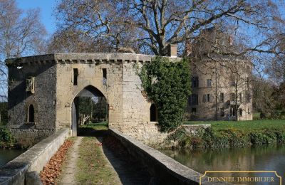 Castillo en venta Valence, Auvernia-Ródano-Alpes, Imagen 3/28