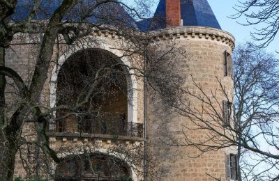 Castillo en venta Valence, Auvernia-Ródano-Alpes, Imagen 7/28