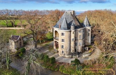 Castillo en venta Valence, Auvernia-Ródano-Alpes, Imagen 1/28