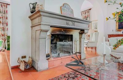 Villa histórica en venta Castelletto Sopra Ticino, Piamonte:  Chimenea