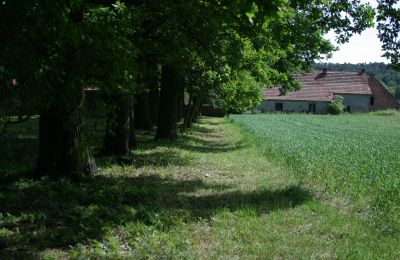 Casa señorial en venta Rogów Wołowski, Baja Silesia, Imagen 20/25