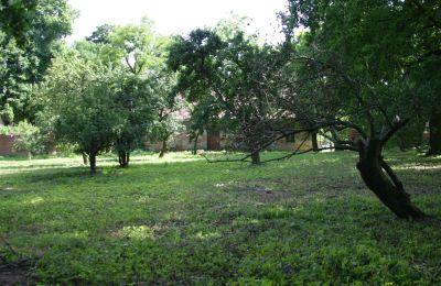 Casa señorial en venta Rogów Wołowski, Baja Silesia, Imagen 19/25