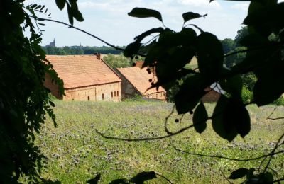Casa señorial en venta Rogów Wołowski, Baja Silesia, Imagen 6/25