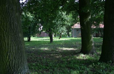 Casa señorial en venta Rogów Wołowski, Baja Silesia, Imagen 21/25