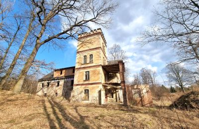 Mansión histórica en venta Staniszów, Baja Silesia, Imagen 9/38