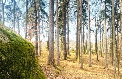 Mansión histórica en venta Staniszów, Baja Silesia, Imagen 16/38