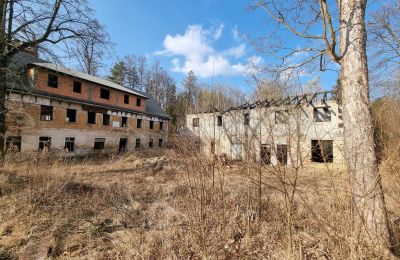 Mansión histórica en venta Staniszów, Baja Silesia, Imagen 3/38