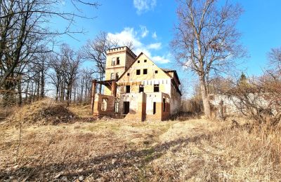 Mansión histórica en venta Staniszów, Baja Silesia, Imagen 12/38