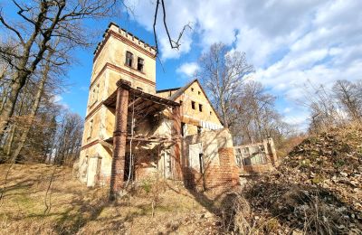 Mansión histórica en venta Staniszów, Baja Silesia, Imagen 5/38