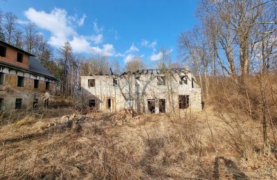 Mansión histórica en venta Staniszów, Baja Silesia, Imagen 2/38