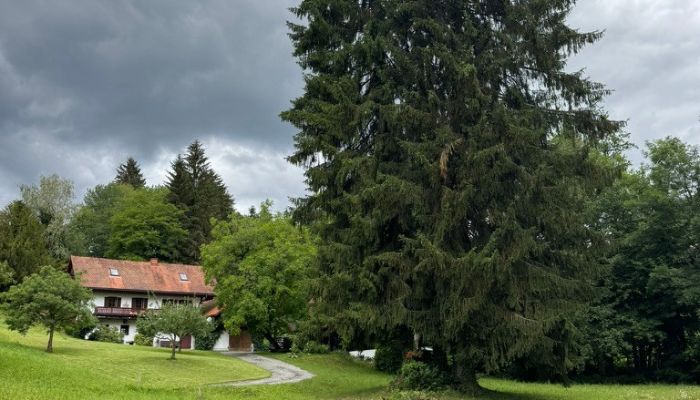  Sankt Stefan ob Stainz 4