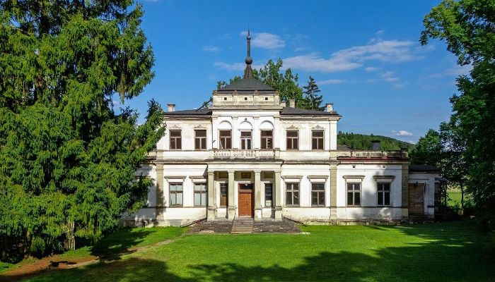 Palacio en venta Sancygniów, Santa Cruz