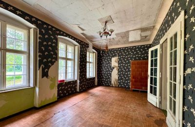 Casa señorial en venta Tarchalin, Gran Polonia, Imagen 16/24