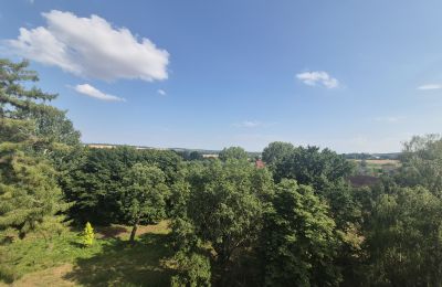 Palacio en venta Koźmice, Baja Silesia, Imagen 5/35