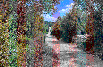 Propiedad histórica en venta Porreres, Islas Baleares, Grundstückszufahrt