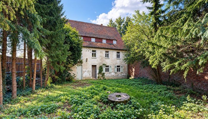 Propiedad histórica 06686 Lützen, Sajonia-Anhalt