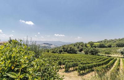 Casa de campo en venta Montecatini Val di Cecina, Toscana, Imagen 38/50