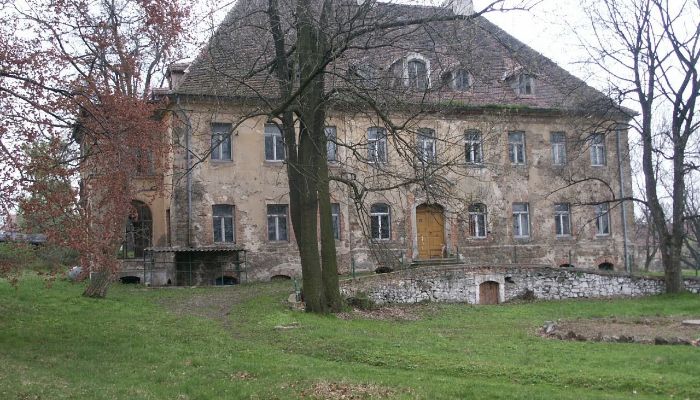Palacio Kostrzyna 4