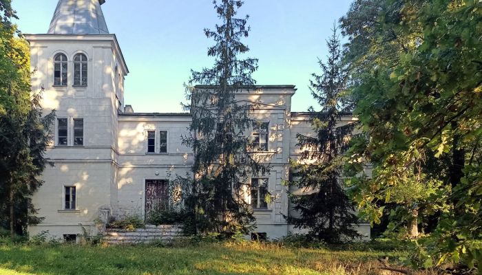 Casa señorial en venta Goniembice, województwo wielkopolskie