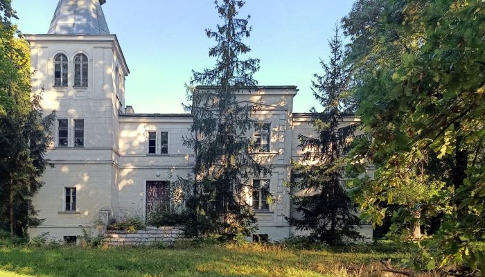 Casa señorial en venta Goniembice, województwo wielkopolskie,  Polonia