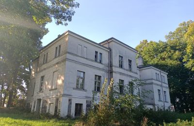 Casa señorial en venta Goniembice, Dwór w Goniembicach, województwo wielkopolskie:  