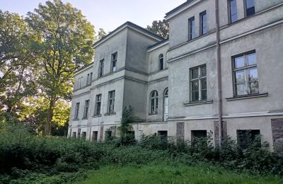 Casa señorial en venta Goniembice, Dwór w Goniembicach, województwo wielkopolskie:  Vista lateral