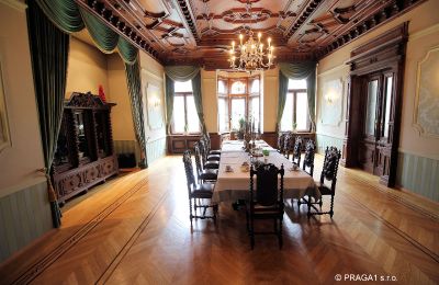 Villa histórica en venta Ústecký kraj:  