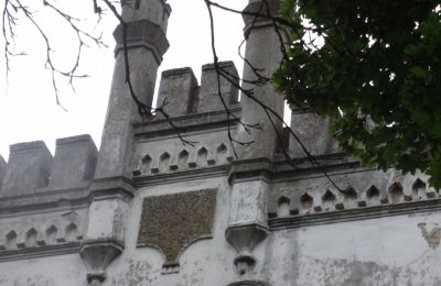 Casa señorial en venta Brodnica, województwo wielkopolskie, Detalles