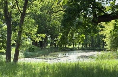 Casa señorial en venta Gierłachowo, Dwór w Gierłachowie 18a, Gran Polonia, Imagen 33/34