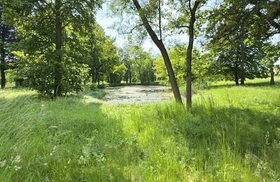 Casa señorial en venta Gierłachowo, Dwór w Gierłachowie 18a, Gran Polonia, Imagen 34/34