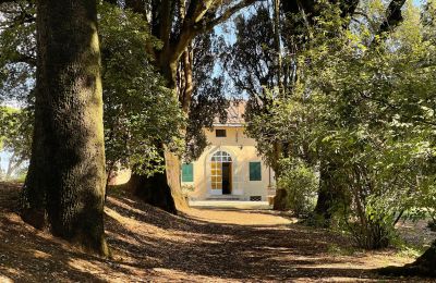 Villa histórica en venta Siena, Toscana:  RIF 2937 Blick auf Eingang