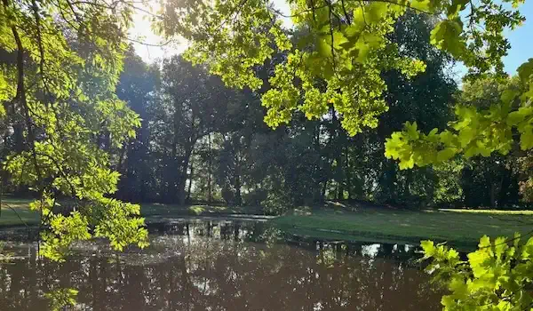 Parque del palacio con estanque, casa señorial Niendorf