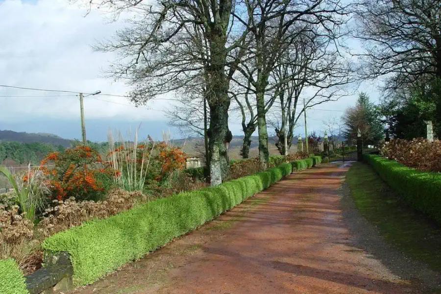 Avenida de robles que conduce al portal de piedra del Pazo de Ferreiroá.