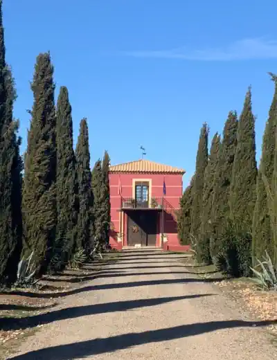 Ofertas de propiedades en España Castilla-La Mancha