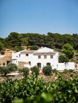 Masía histórica con viñedo en el sur de Barcelona, Masllorenç, Cataluña