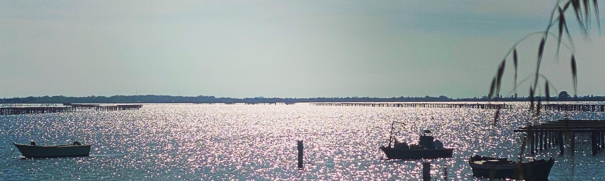 Bellavista srl Luxury Real Estate REALPORTICO